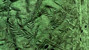 Overwhelmed by huge tits teen maid's shiny anal buttplug tease in uniform