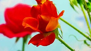 back in college my indian friend finally fucked me after hanging out with our group