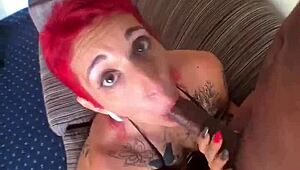 Gia Lovely Deepthroats Monster Black Cock Till Cum Gushes Out