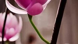 Big breast Loba rubs bald pussy as Morrigan shakes tits in compilation