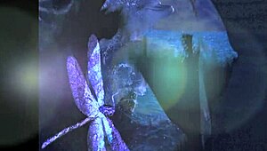 Dark Lantern Unveils Dragonfly's Retro Beaver Orgy Secrets