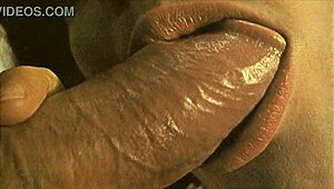 vintage hairy pussies get blown and fucked raw in retro interracial action