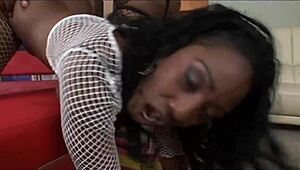 Fucking two big ass sluts bareback hard