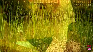 this couple fucks rough outdoors in tiny lake boat wearing stockings and heels!