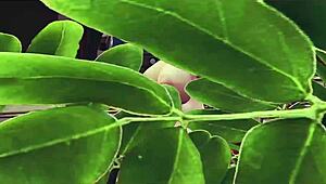 Mature woman bangs chico then shares him with her young girlfriend