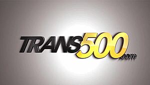 The sultry shemale masterfully services that monster ramrod before taking it deep in her big ass